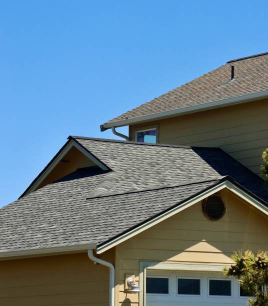 Best Roof Moss and Algae Removal  in Decatur, TX